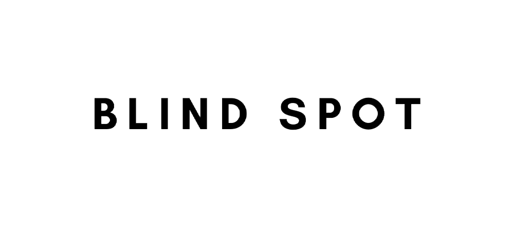 Blind Spot Logo